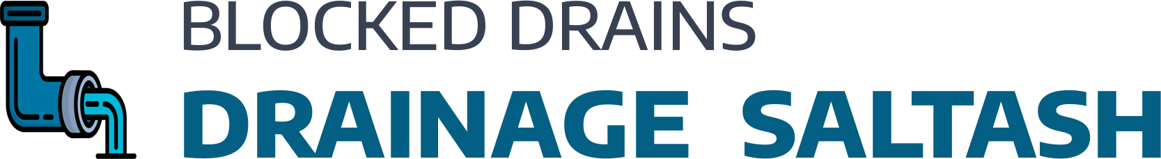website logo